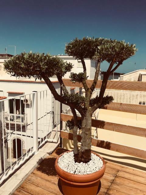 La Casa Al Borgo Διαμέρισμα Βιέστε Εξωτερικό φωτογραφία